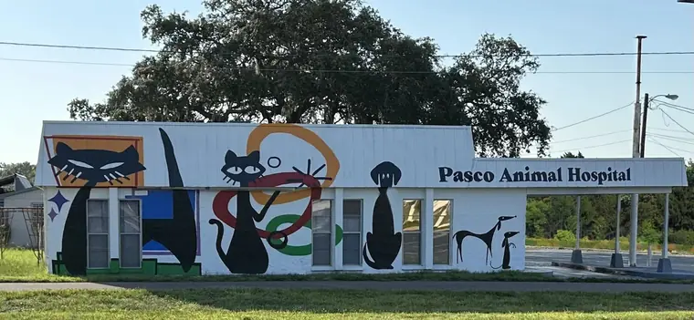 The white hospital building on US-19 with a mid-century mural of cats and a dog and the sign Pasco Animal Hospital
