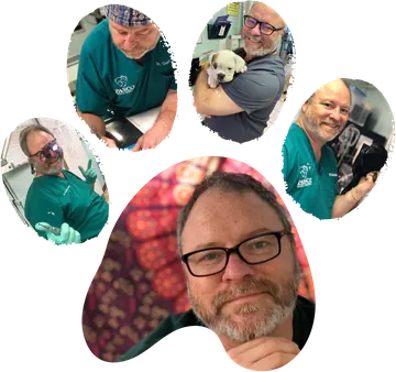 Dr. Adams in a paw-print collage: in scrubs, holding a puppy, at work in the hospital